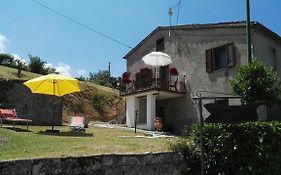 Oasi delle Gazze